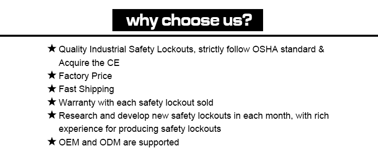 Bozyys Safety Steel Lockout Kit with 560*460*70mm